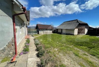 Casă cu 3 camere cu Teren 3000 Mp în Central - 4