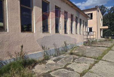 Spațiu industrial, de 2,254 mp, în Tinca - 2