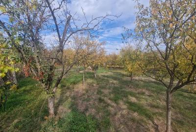 RECO Vila deosebita  in Santandrei cu sauna si teren generos - 46