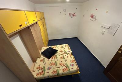 Casă individuală cu 12 camere cu Canalizare în Crișan - 17