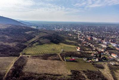 Teren intravilan in ?iria pe deal - 5