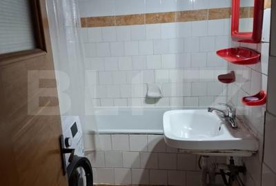 Apartament 1 camera Pacurari - 4