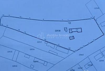 Casă cu 3 camere cu Teren 4658 Mp în Ghimpați - 4