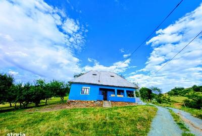 Spațiu comercial, în Copalnic - 13