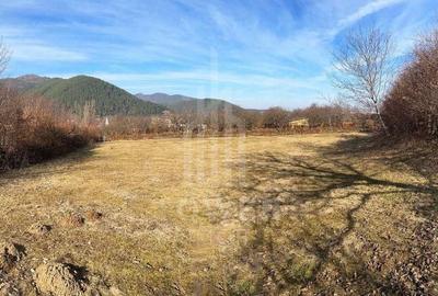 Teren intravilan 2.295 mp, deschidere 60 m – Rășinari, comision 0% - 3