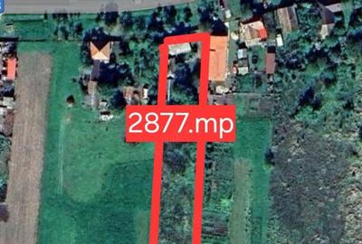 Casă cu 3 camere cu Teren 2877 Mp în Iosif - 2