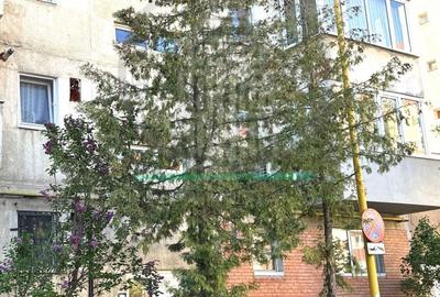 Apartament 4 camere decomandat - Calea Bucuresti, Centru Civic - 23