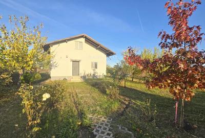 Casa 3 camere si curte cu pomi fructiferi - 1