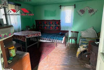 Casă cu 4 camere cu Teren 7701 Mp în Vințu de Jos - 4