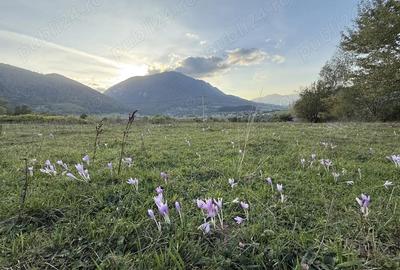 Teren de 500 mp, în Moieciu