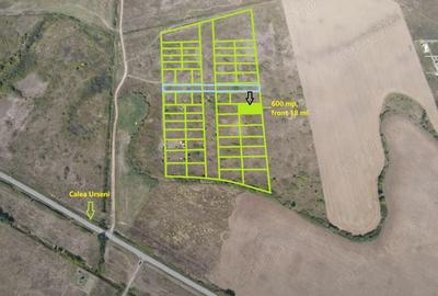 Teren in Mo?ni?a Noua - Oportunitate de investitie - 1