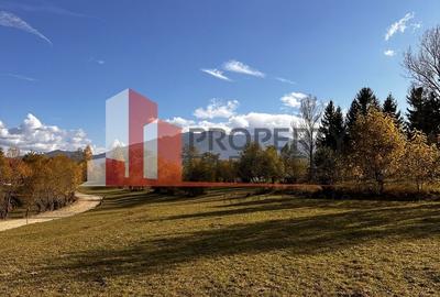 Teren Bran-Tohanita loturi intre 500/1000 mp - 4