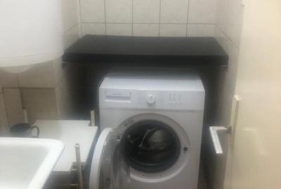 Titan, Constantin Brancusi- Piata Minis - 6