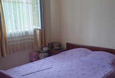 Izvoarele, sat Chiriacu, jud. Giurgiu casa +teren - 10
