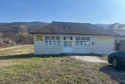 Spațiu comercial, de 80 mp, în Negreni - 5