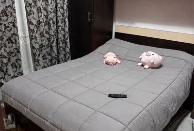 Apartament cu 3 camere decomandat în Preajba Mare - 8