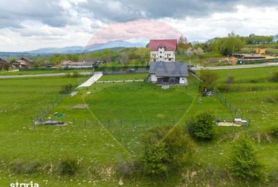 Teren de 1100 mp, în Tohănița - 18