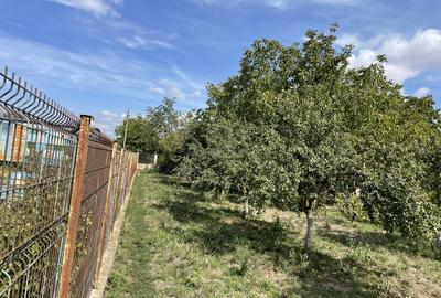 Malu, sat Butoiu Ialomita - 3