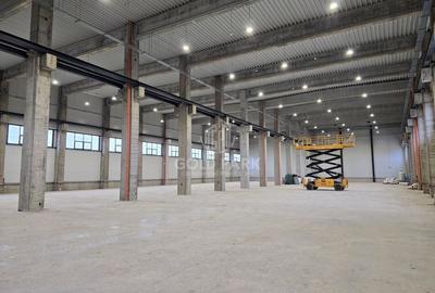 Spatiu Industrial-Mihai Viteazu/Zona Autostrazii A3-Constructie Noua - 3