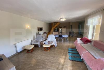 Casa familiala, suprafata de 133 mp, cu gradina de 4700 mp - 11