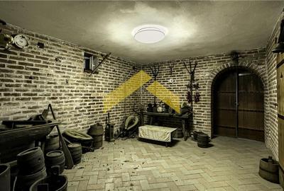 Casa 1000 mp si hala de vanzare Zadareni - 22