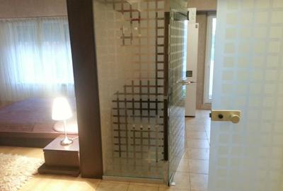 Garsonieră decomandată, mobilată în Unirii - 2