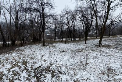 Teren 4652 mp cu izvor pe el, Lunca Mare, lângă păstrăvăria Doftana - 9