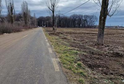 Teren de 12800 mp, în Ciolpani - 2