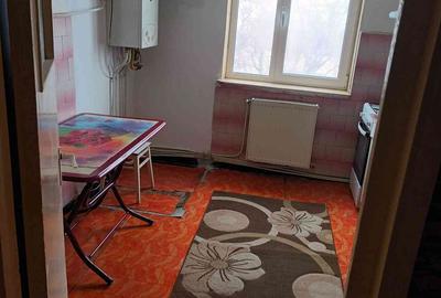 Apartament cu 2 camere semidecomandat în Mioriței - 3