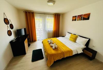 Vila S+P+2E Predeal Ideal Investitie - 6