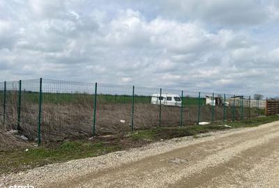 Spațiu comercial, în Tunari - 13