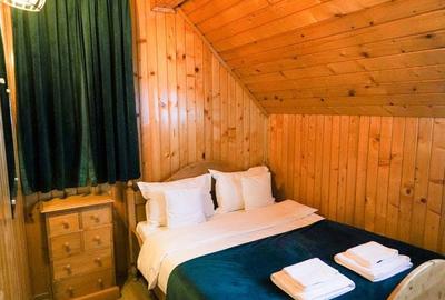 Casă cu 5 camere cu Teren 400 Mp în Valea Doftanei - 15