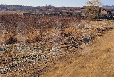 Teren de 3405 mp, în Ilieni - 3