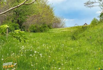 Teren de 6500 mp, în Păpăuți - 7