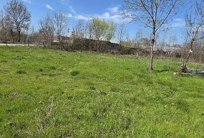 Casă cu Teren 1550 Mp în Ștorobăneasa - 3