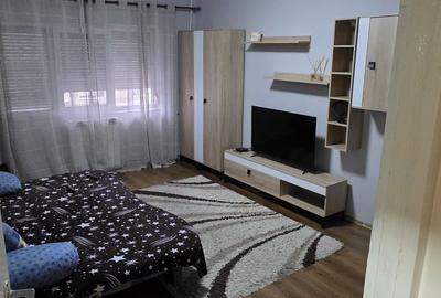 Garsonieră decomandată în Nufărul - 6
