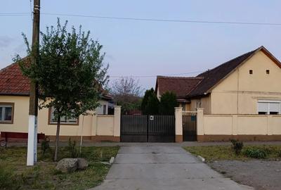 Vind casa in maderat - 3