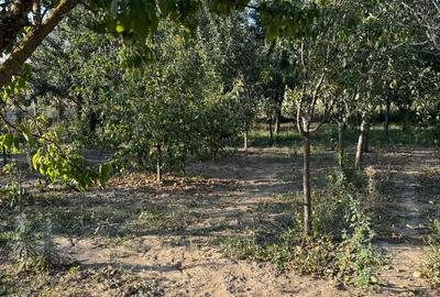 Casă cu 5 camere în Crai Nou - 4