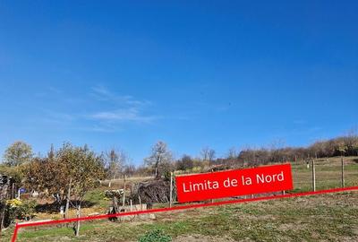 Teren de 1308 mp, în Rediu - 5