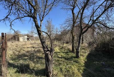 Teren de 7700 mp, în Șoimuș - 1