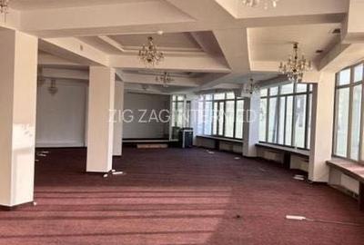 Spațiu comercial, de 420 mp, în Ultracentral - 4