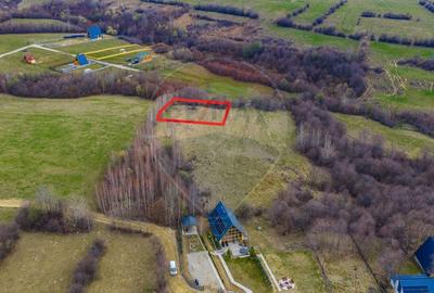 Teren Construcții intravilan de 480 mp, în Tohănița - 5