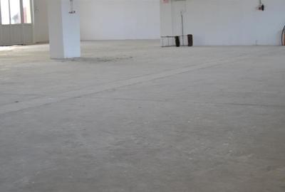 Hala 536mp Autorizata ISU - 2