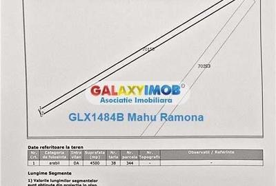 Teren de 4500 mp, în Uliești - 3