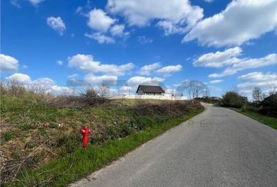 Teren de 1107 mp, în Paleu - 5