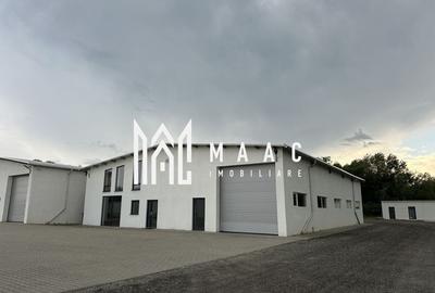 Hală 450 mp + Birouri + Curte 800 mp | DN1 Șelimbăr | Acces TIR | Zonă Premium - 2