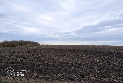 Teren agricol extravilan de 17900 mp, în Utvin - 3