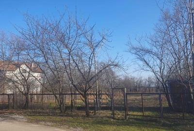 Teren de 882 mp, în Bănești