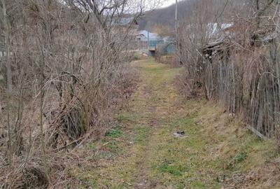 Spațiu comercial, în Strezeni - 8