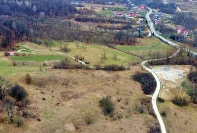 Zona in Expansiune, Teren Ideal pentru Afaceri Profitab... - 3